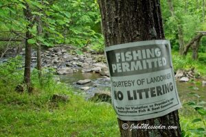 Sign on a tree proclaims fish permitted